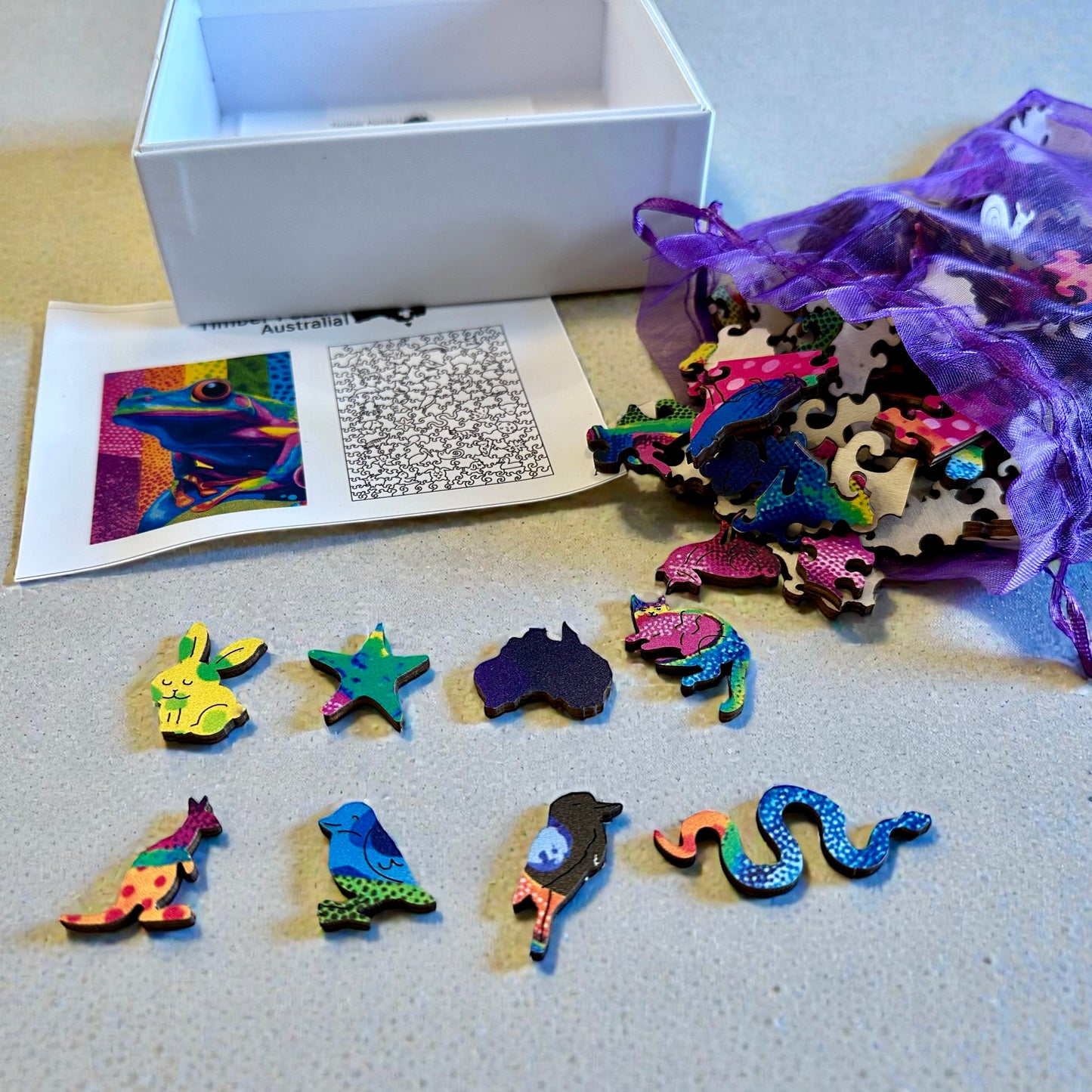 Dainty Tree Frog, QLD